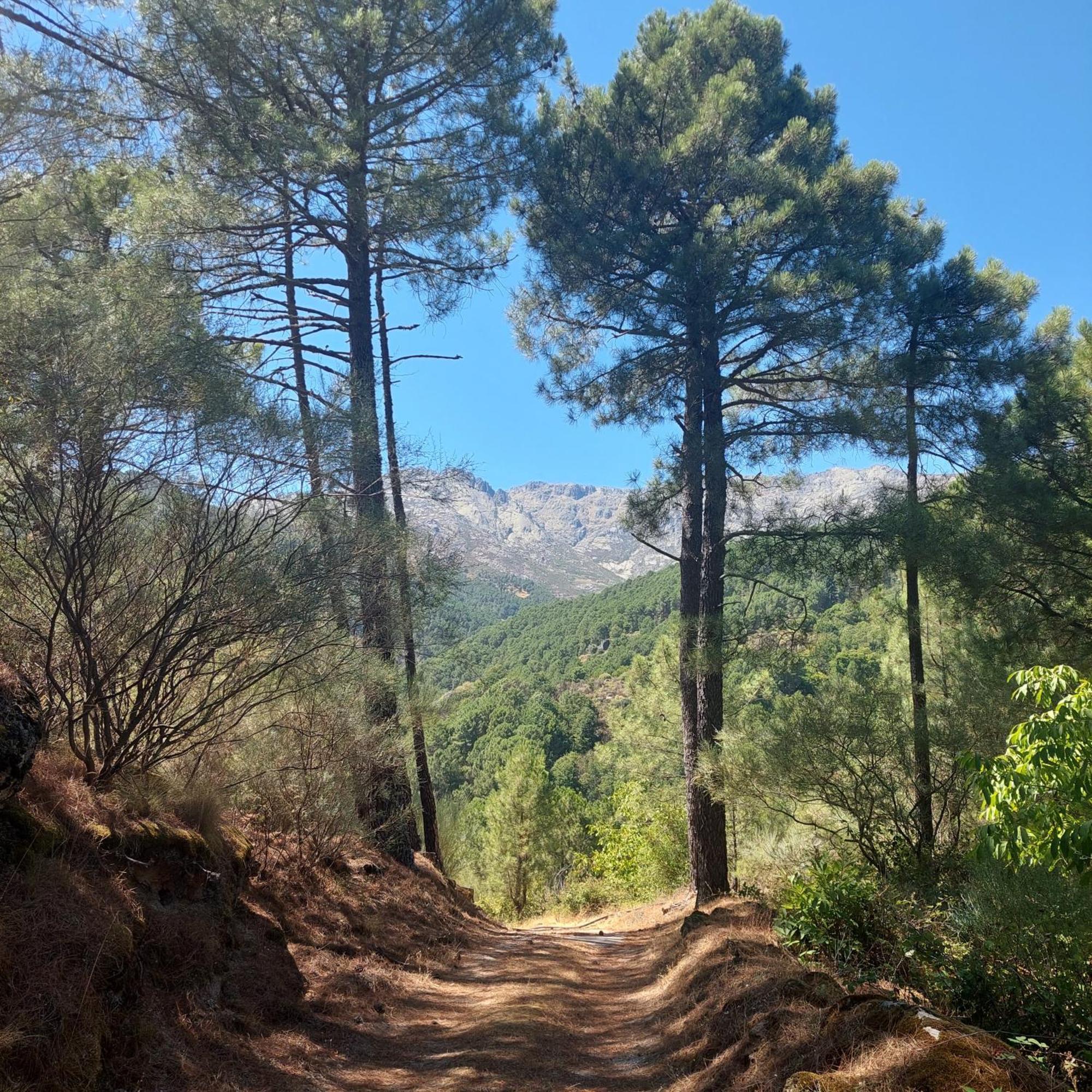 Puente Canto De Gredos Arenas de San Pedro Dış mekan fotoğraf