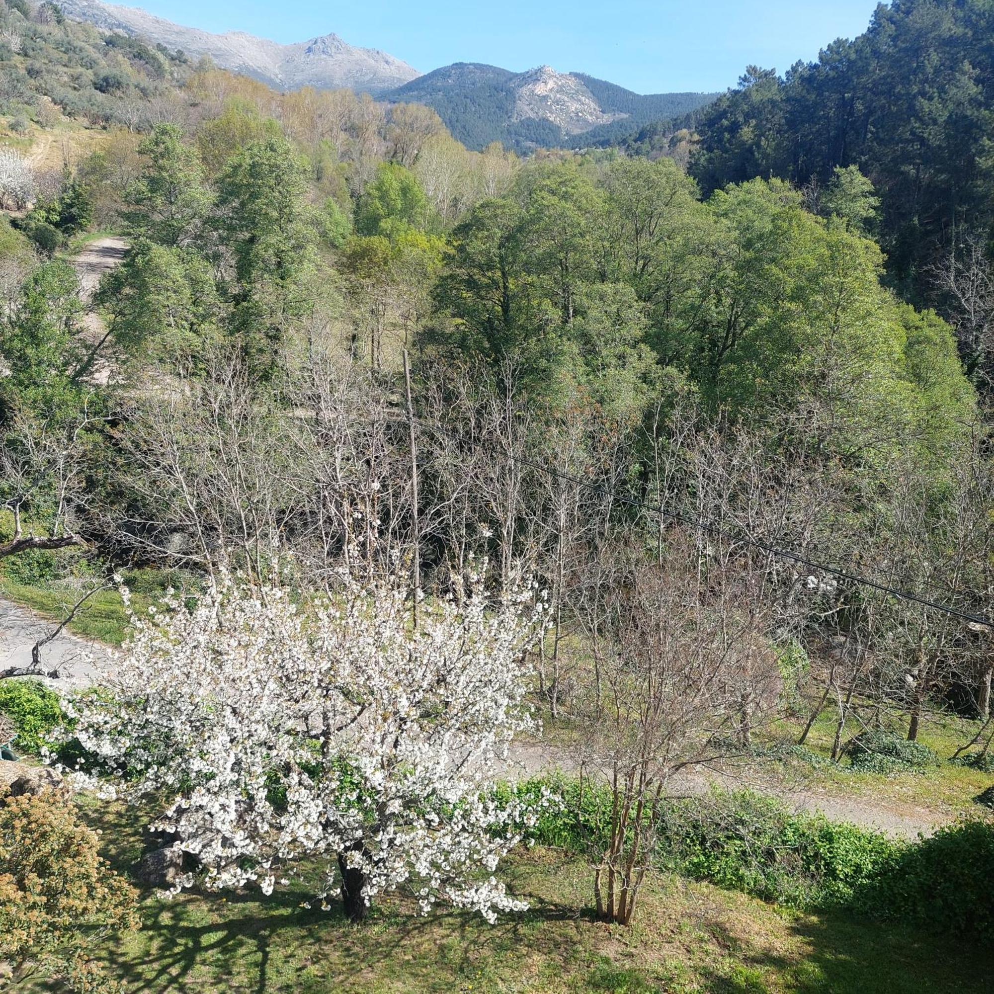 Puente Canto De Gredos Arenas de San Pedro Dış mekan fotoğraf
